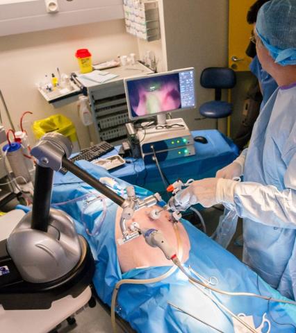 Préparation de transfert de Propriété Intellectuelle et d’une démonstration